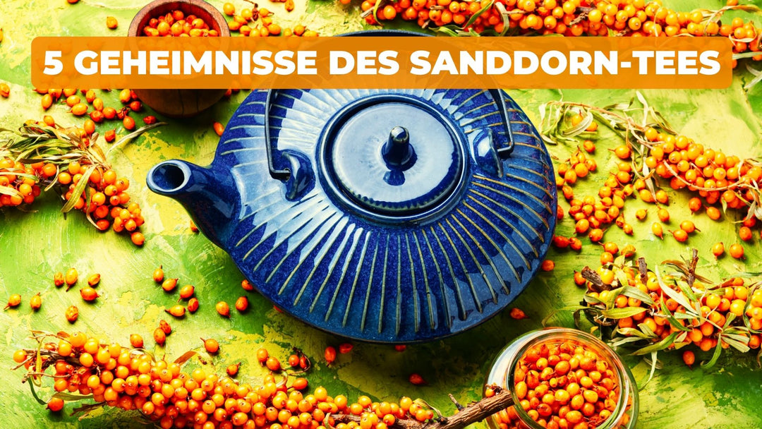 5 Geheimnisse des Sanddorn-Tees: Zubereitung und Unerforschte Vorteile!