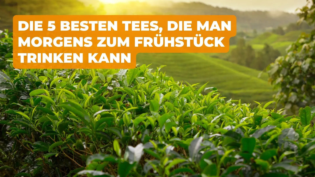 Die 5 Besten Tees die Man Morgens zum Frühstück Trinken