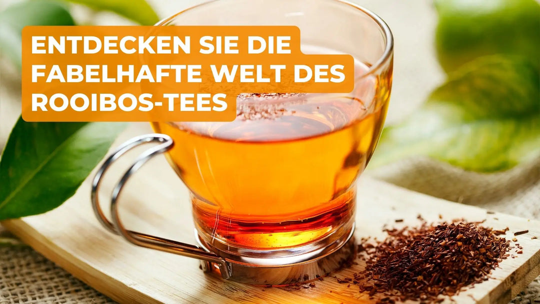 Entdecken sie die Fabelhafte Welt des Rooibos-tees