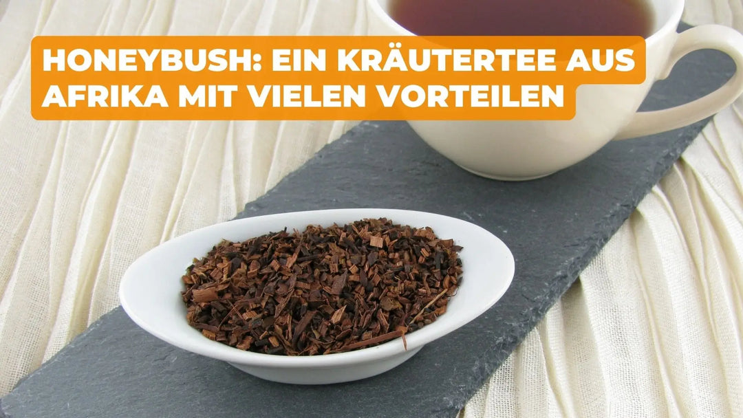 Honeybush: ein Kräutertee aus Afrika mit Vielen Vorteilen