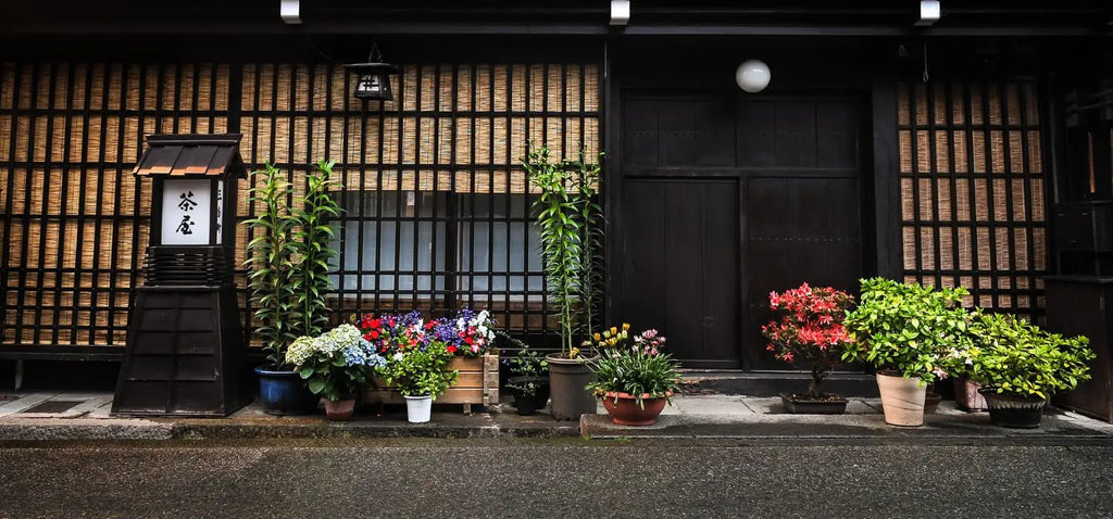 Japanischer grüntee: schlürfen sie ihren weg zu zen und